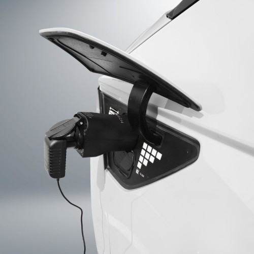 ADAPTERIS REACH TYPE2 V2L (CN)